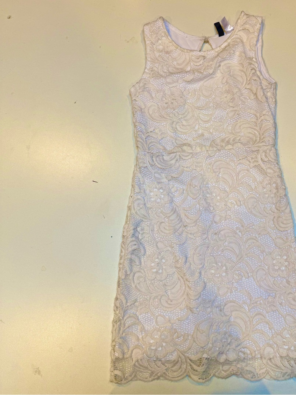 H&M Ivory Floral Lace Sleeveless Dress